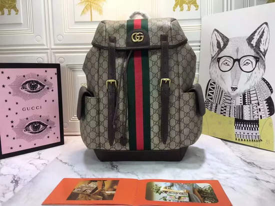 Gucci Backpack(AAA)-045
