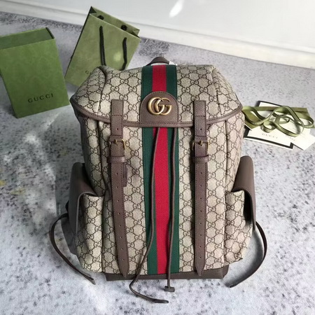 Gucci Backpack(AAAA)-042