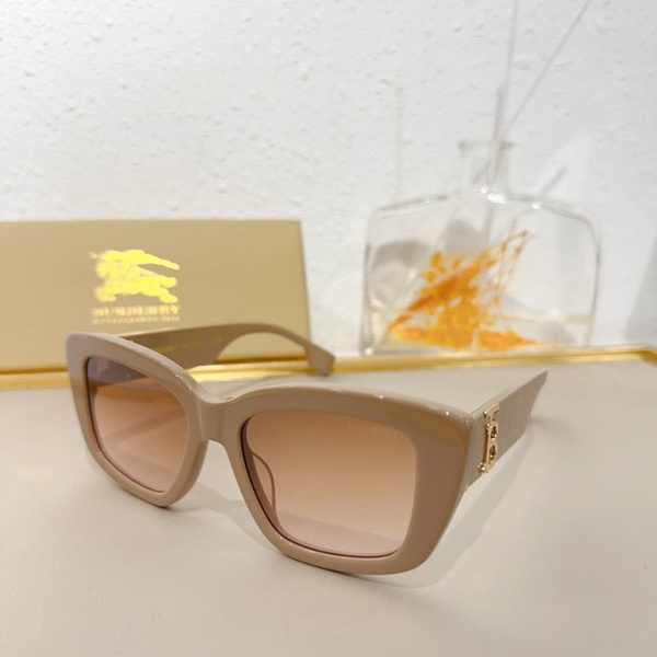 Burberry Sunglasses(AAAA)-849
