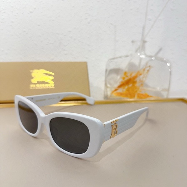 Burberry Sunglasses(AAAA)-845