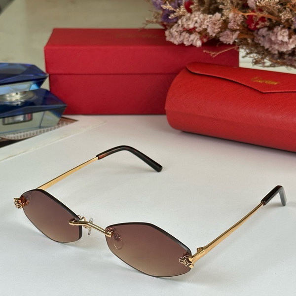 Cartier Sunglasses(AAAA)-1407