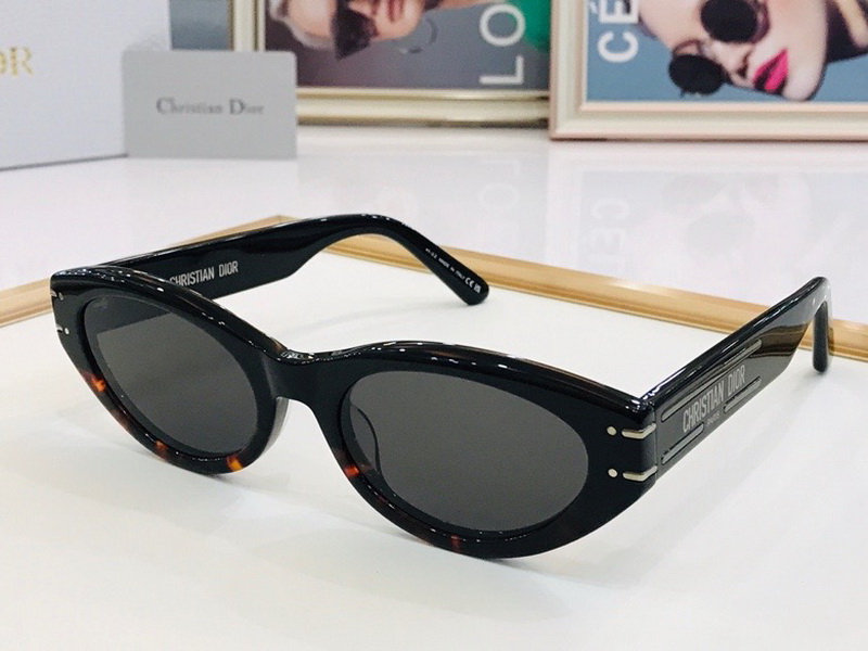 Dior Sunglasses(AAAA)-667