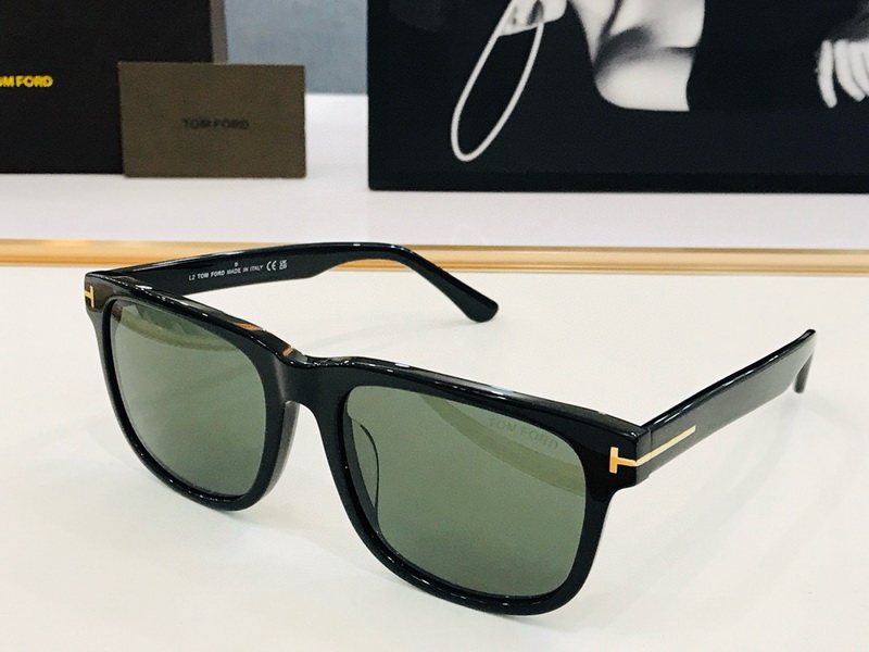 Tom Ford Sunglasses(AAAA)-2073