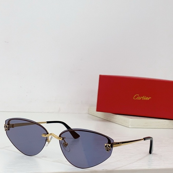 Cartier Sunglasses(AAAA)-1254