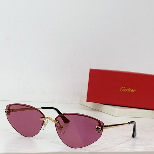 Cartier Sunglasses(AAAA)-1253