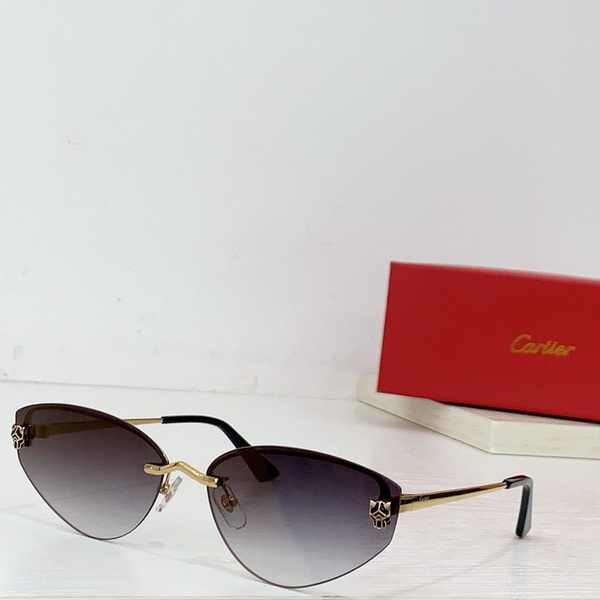 Cartier Sunglasses(AAAA)-1248