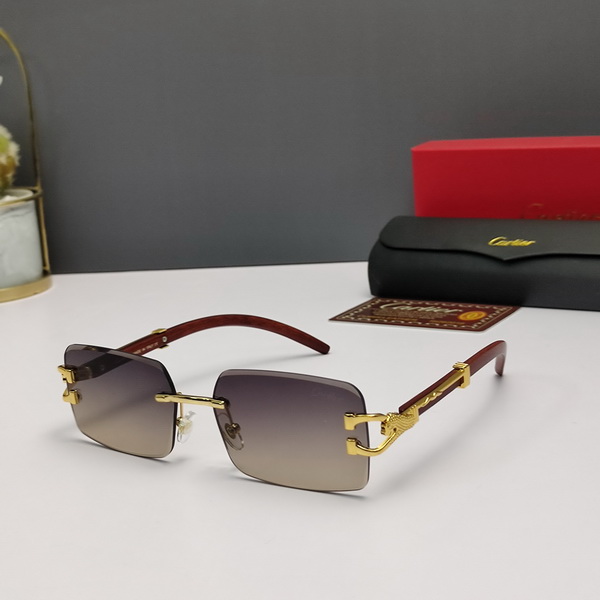 Cartier Sunglasses(AAAA)-725