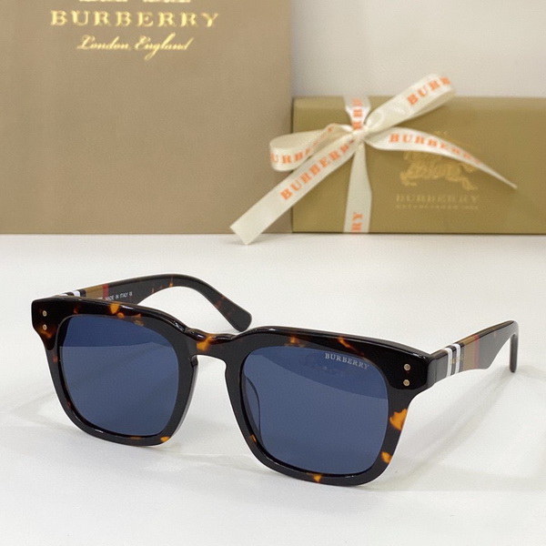 Burberry Sunglasses(AAAA)-508