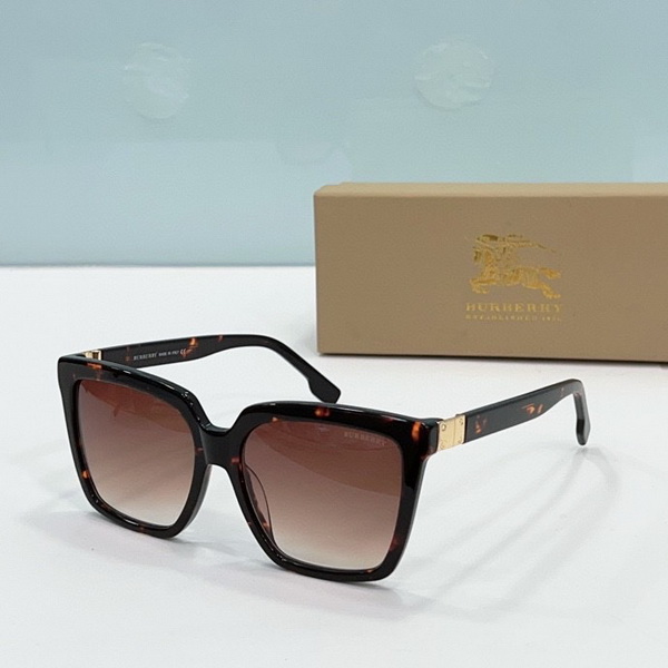 Burberry Sunglasses(AAAA)-497
