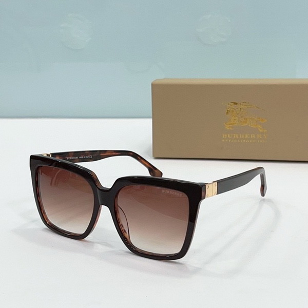 Burberry Sunglasses(AAAA)-491