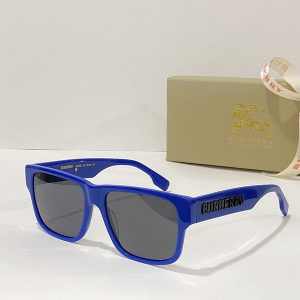 Burberry Sunglasses(AAAA)-489