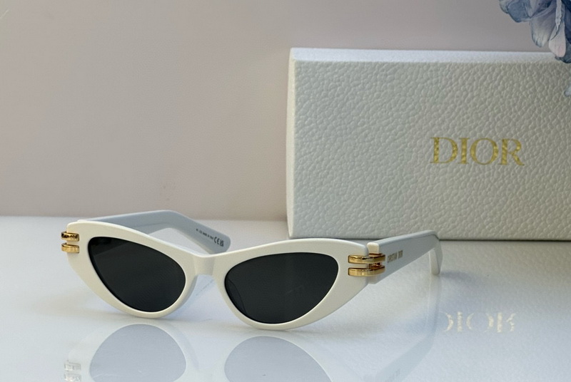 Dior Sunglasses(AAAA)-388