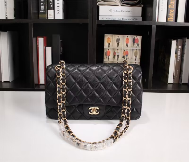 Chanel Handbags AAA(Women)-116