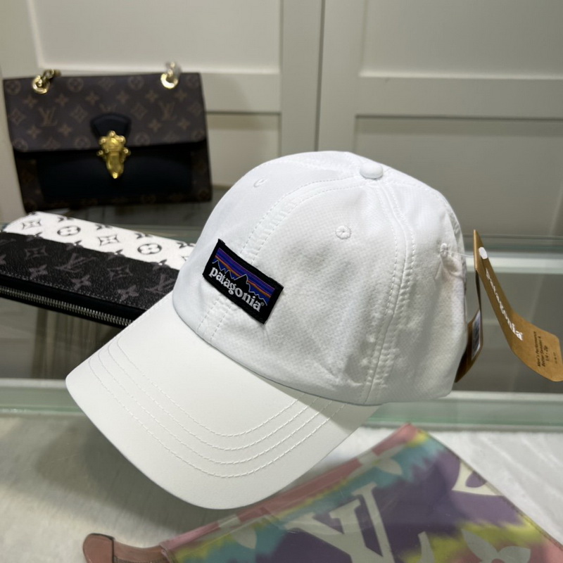 Patagonia Cap-001