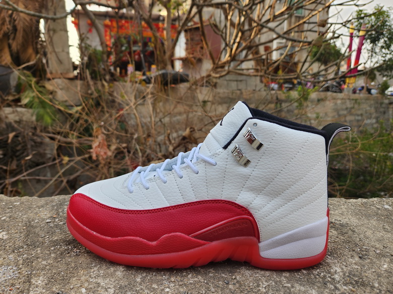 Air Jordan 12 Retro-069