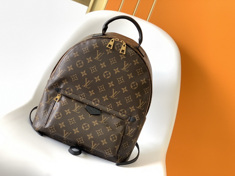 LV Backpack(AAA)-045