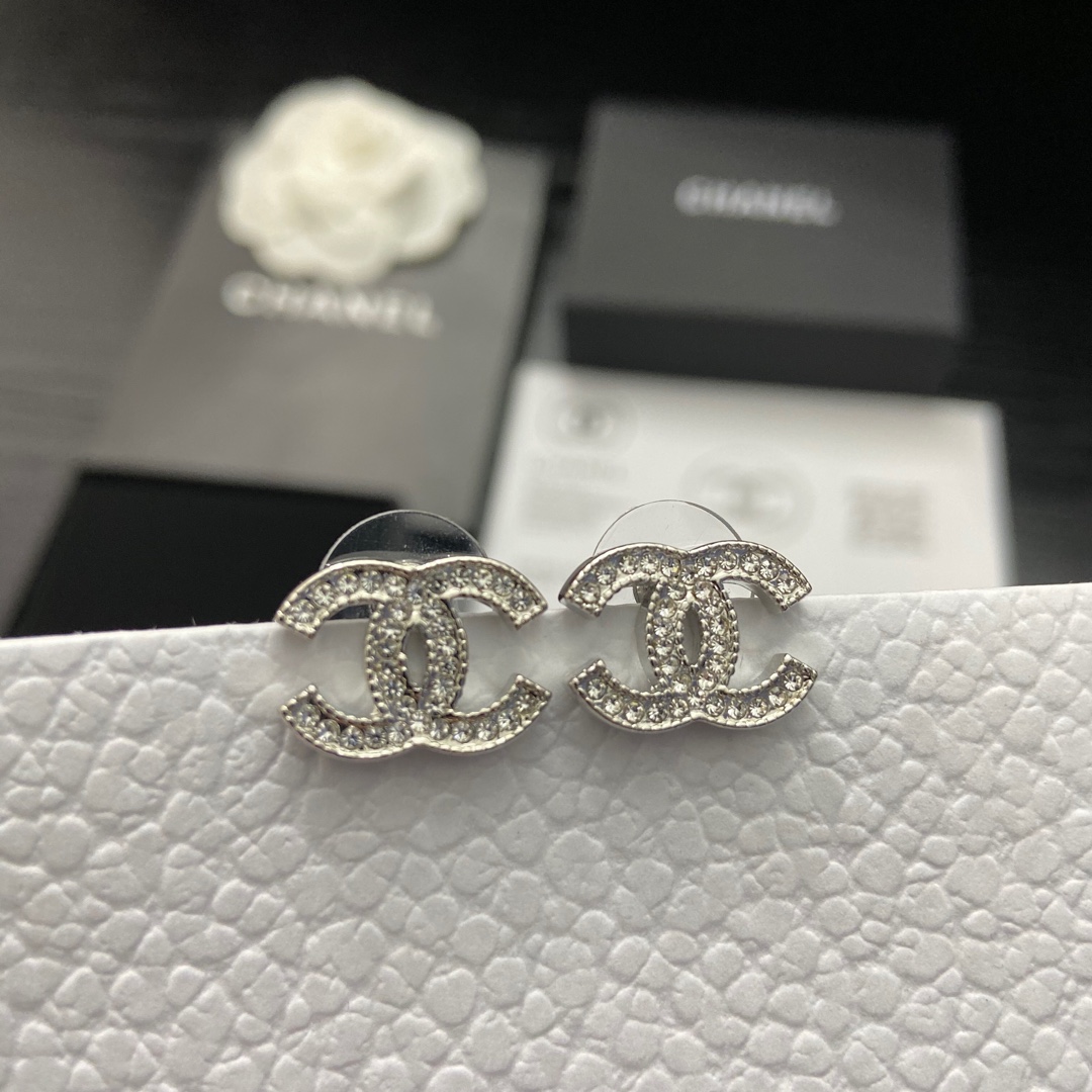 Bottega Veneta Earring-016