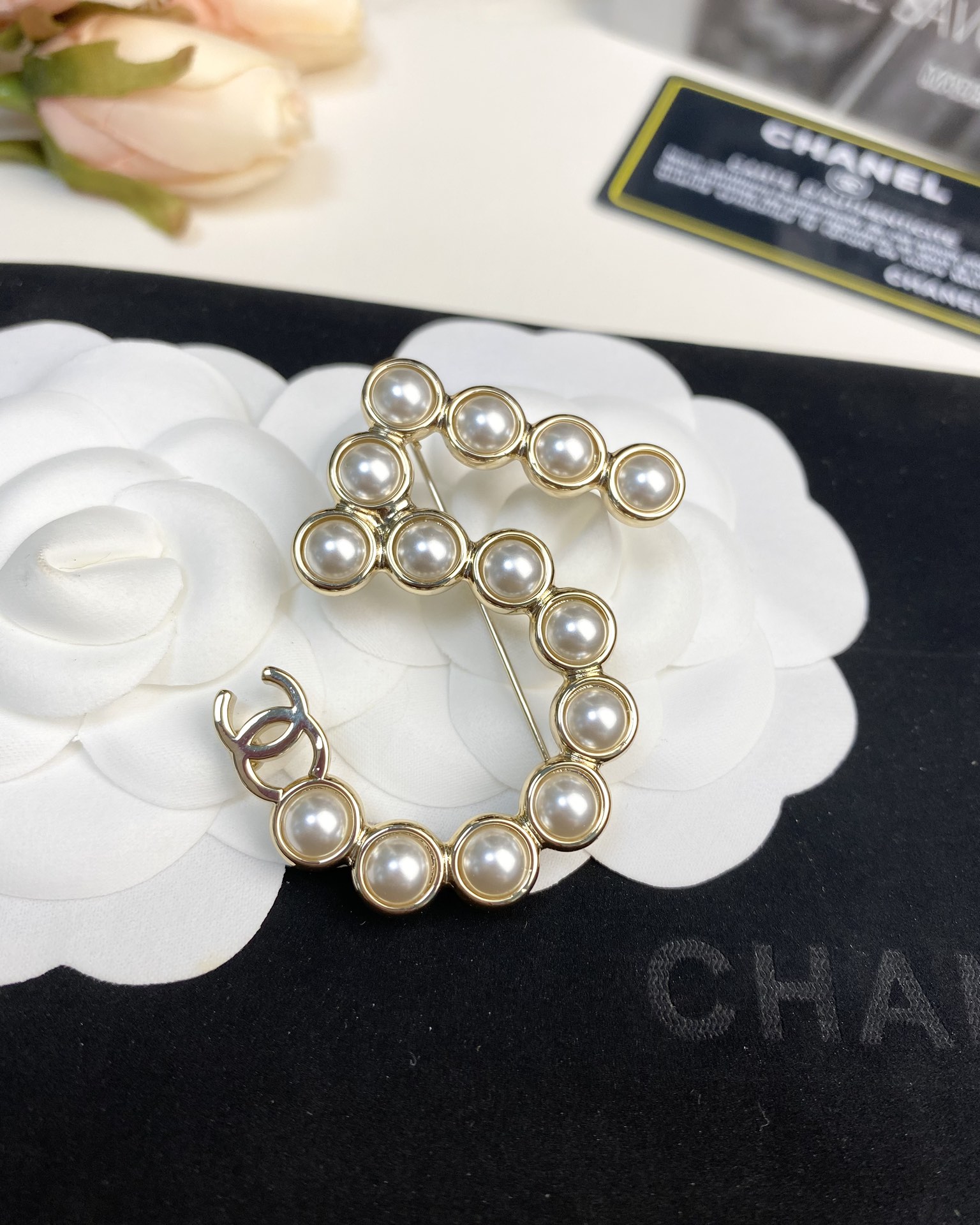 Bottega Veneta Earring-055