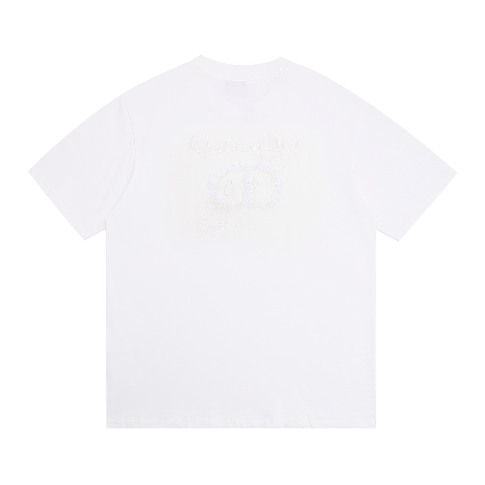 DIOR T-shirts-202