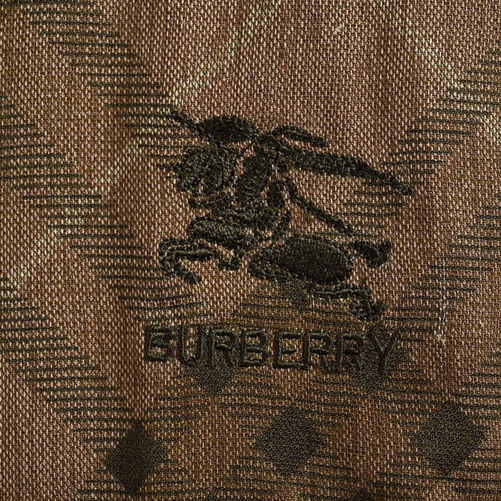 Burberry Pants(AAA)-002