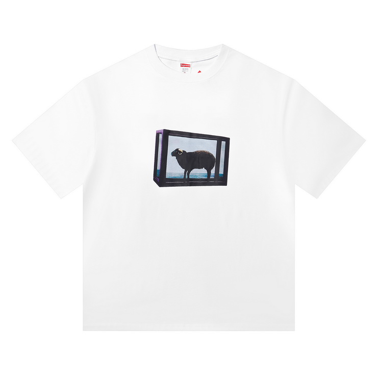 Supreme T-shirts-146