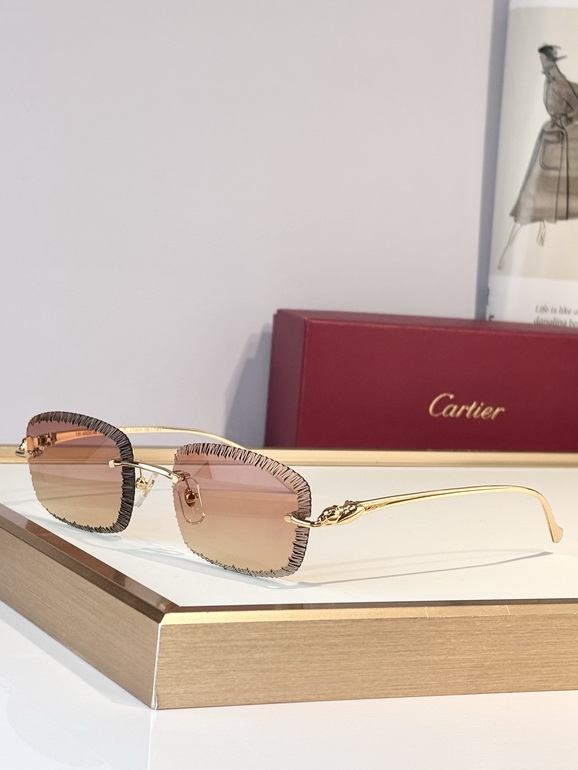 Cartier Sunglasses(AAAA)-1074