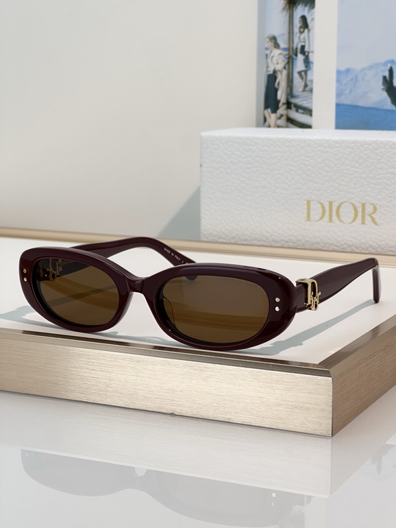 Dior Sunglasses(AAAA)-102