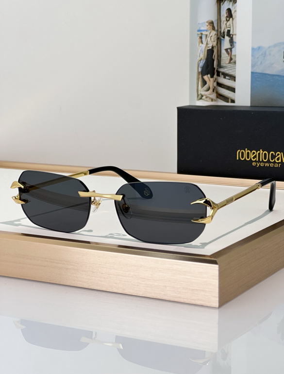 Roberto Cavalli Sunglasses(AAAA)-059
