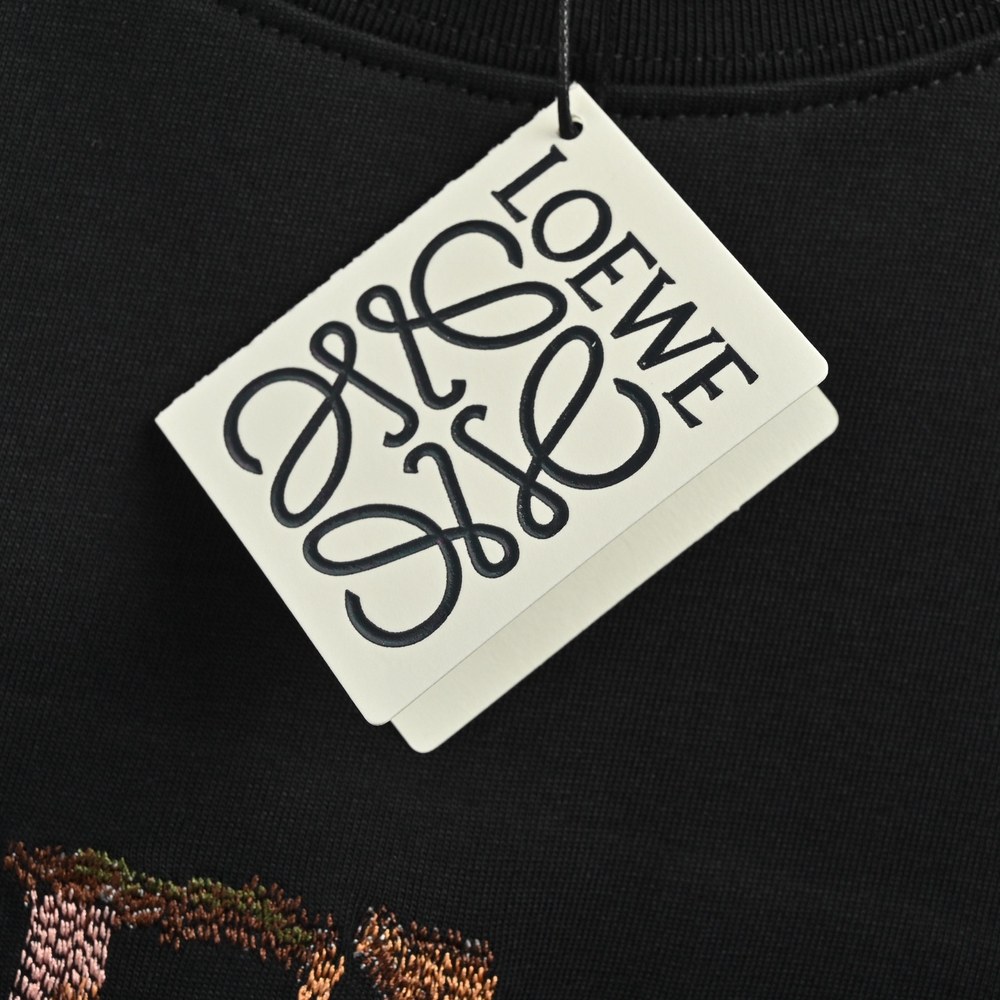 LOEWE T-shirts-192