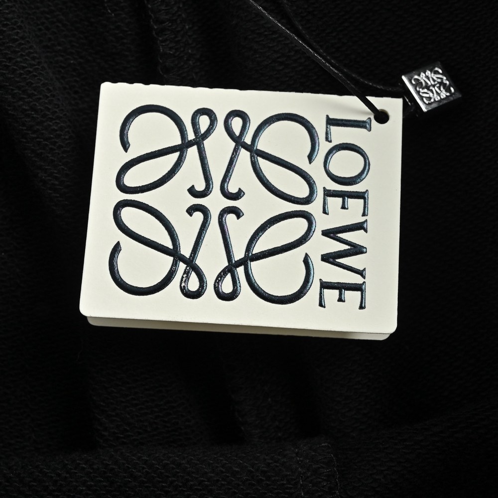 LOEWE Shorts-046