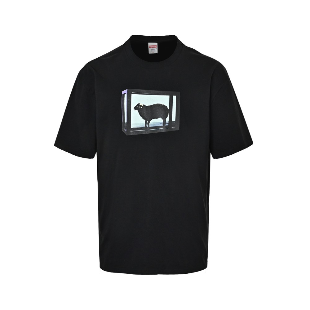 Supreme T-shirts-473
