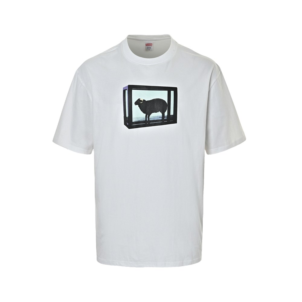 Supreme T-shirts-474