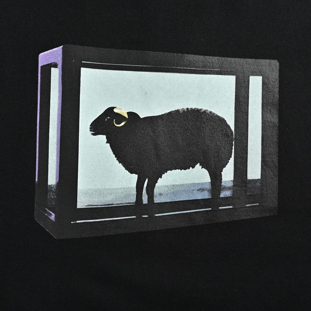 Supreme T-shirts-473